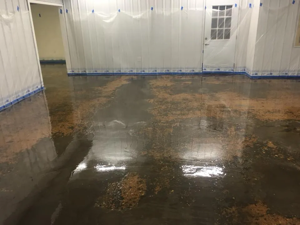 Commercial floor coating Tampa